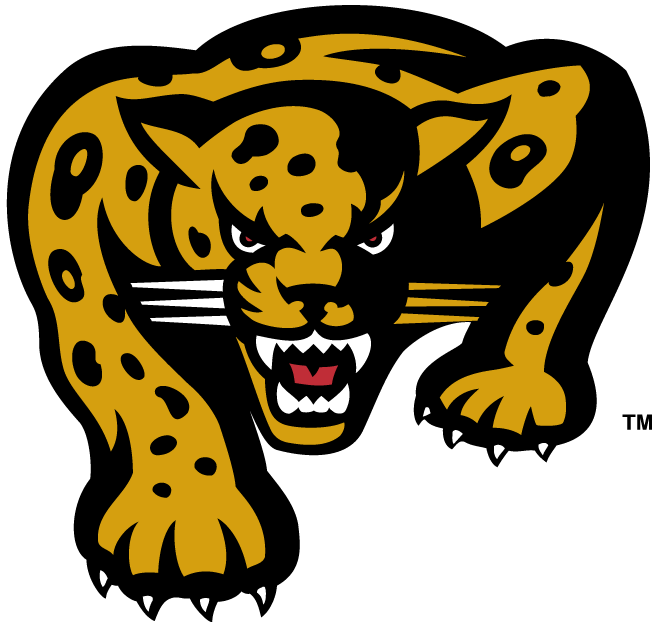 IUPUI Jaguars 2002-2007 Alternate Logo diy iron on heat transfer